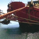 After having all of the bumper material (rubber matting & tyres) removed from its' shell, this tug boat was ready
for DARK METALS to destroy it, still on the water, in Durban Harbour in 2008.
