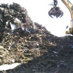 Unclean non-ferrous ready to be fed into the shredder at our Benrose facility. The excavator sits with
approximately 4 metres of scrap beneath it.